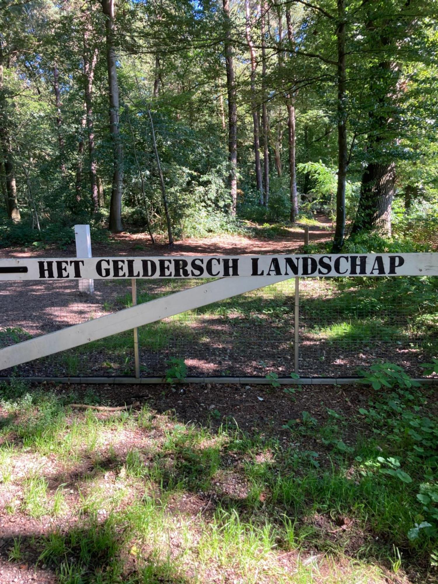 Bed & Breakfast Hoeve Happiness - Ontbijt Inbegrepen - Wellness Aanwezig フォールトハイゼン エクステリア 写真