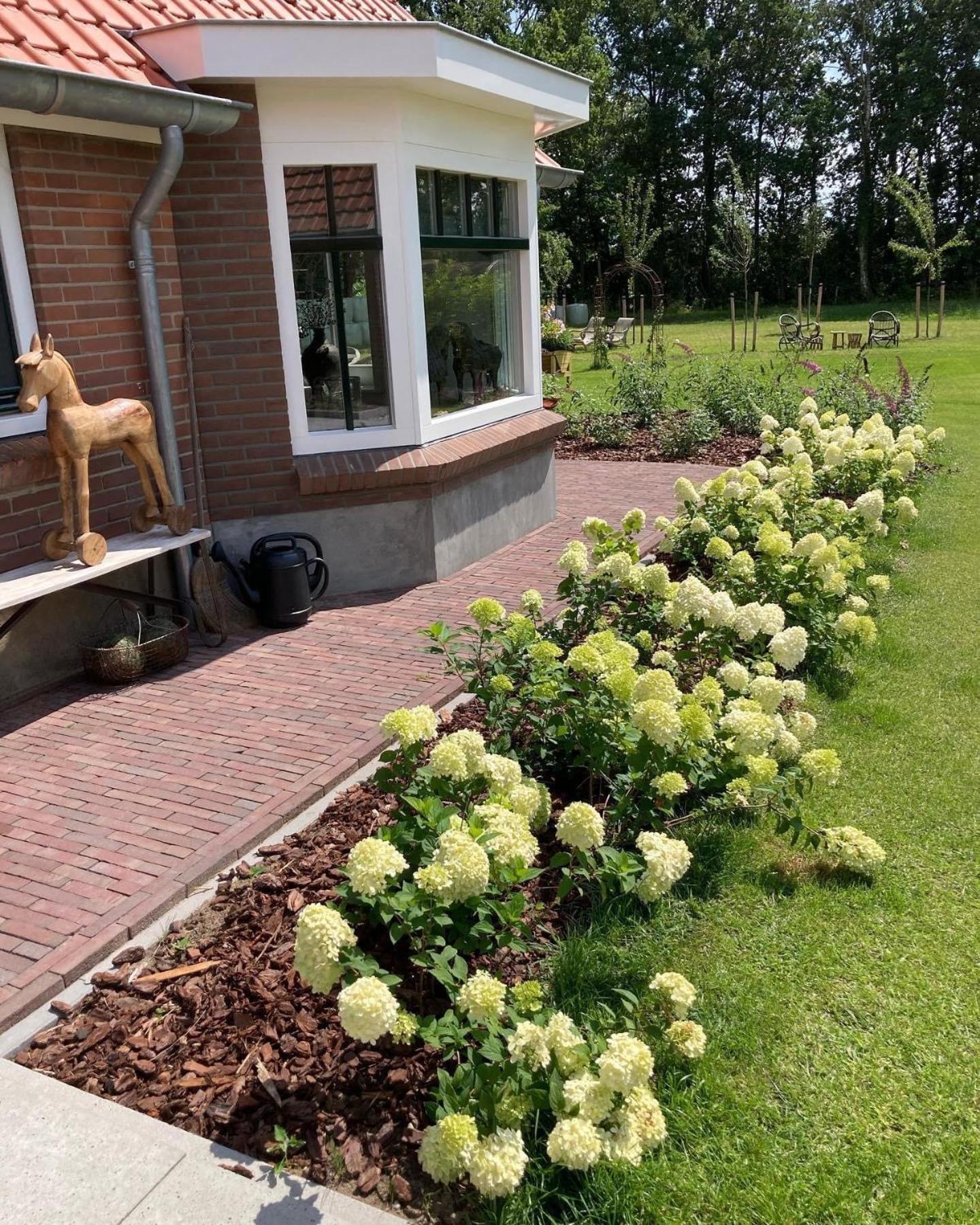Bed & Breakfast Hoeve Happiness - Ontbijt Inbegrepen - Wellness Aanwezig フォールトハイゼン エクステリア 写真