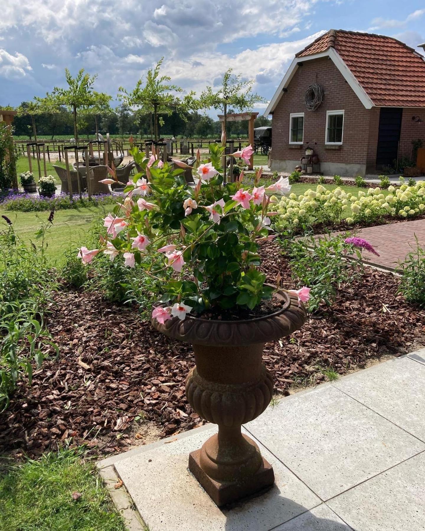 Bed & Breakfast Hoeve Happiness - Ontbijt Inbegrepen - Wellness Aanwezig フォールトハイゼン エクステリア 写真
