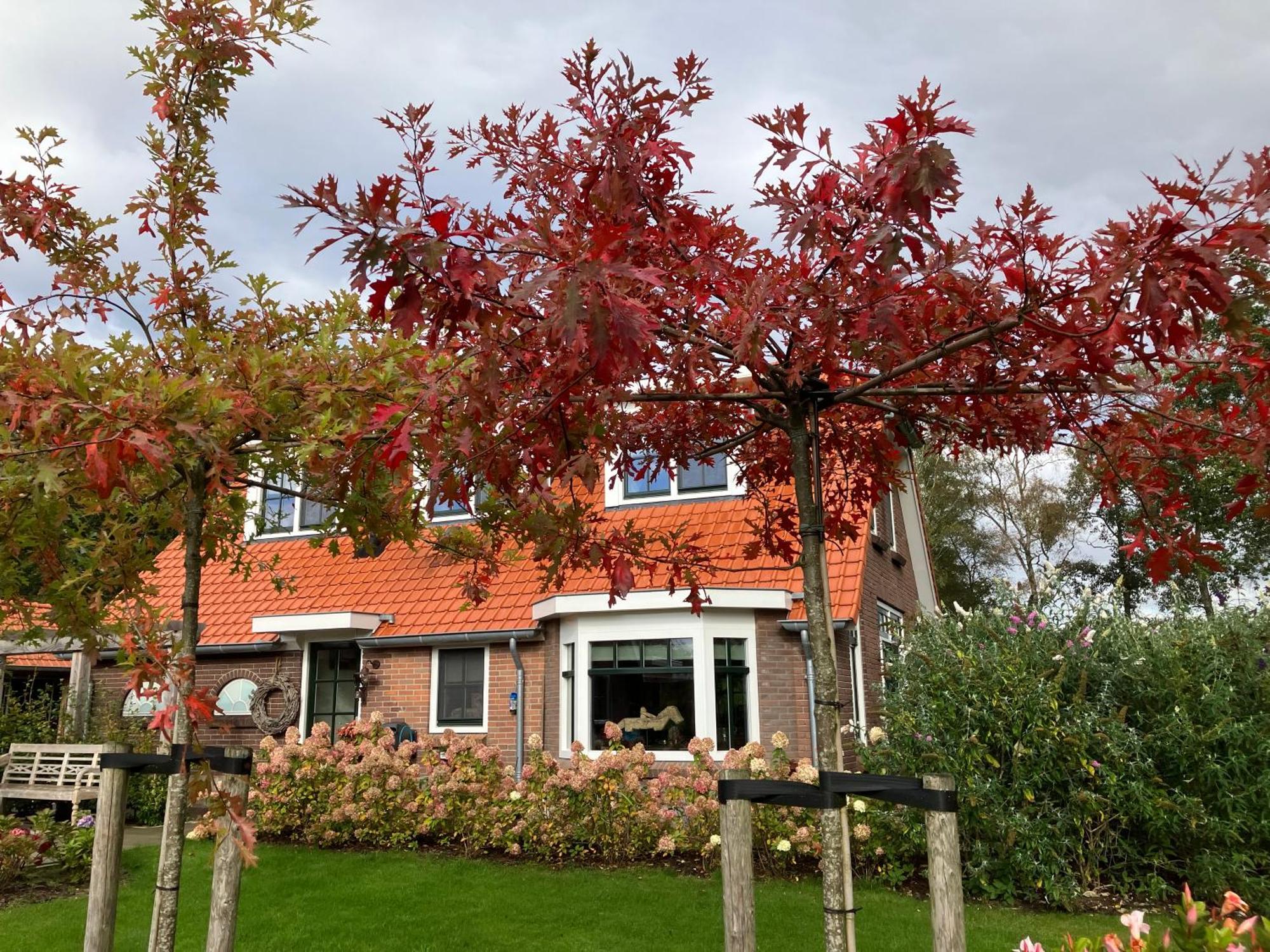 Bed & Breakfast Hoeve Happiness - Ontbijt Inbegrepen - Wellness Aanwezig フォールトハイゼン エクステリア 写真